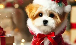 Cute Animals Jigsaw Adorable Puppies and Kittens
