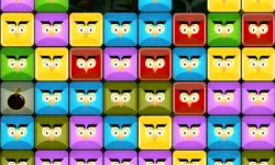 Angry Owls