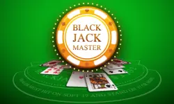 Blackjack Master image