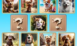 https://www.poki.com.es/game/doggie-duo-discoveries