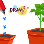 Draw