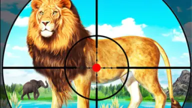Lion Gameson Poki