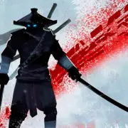 Poki Ninja Arashi